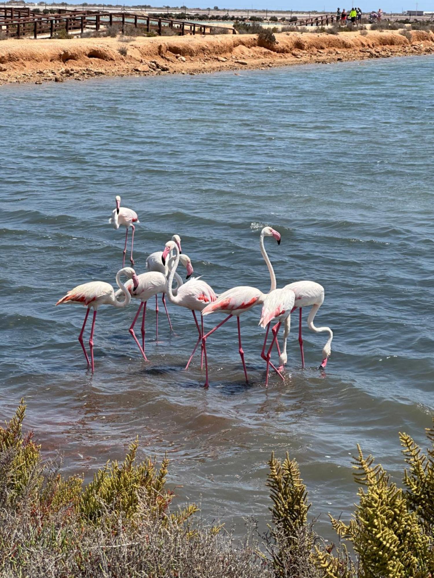 Mar Menor Paradise By Los Pinos Holidays San Pedro del Pinatar Bagian luar foto